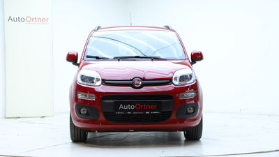 Fiat Panda Gebrauchtwagen