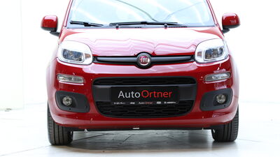 Fiat Panda Gebrauchtwagen