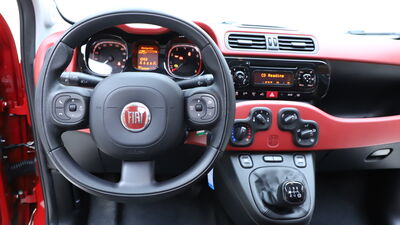 Fiat Panda Gebrauchtwagen