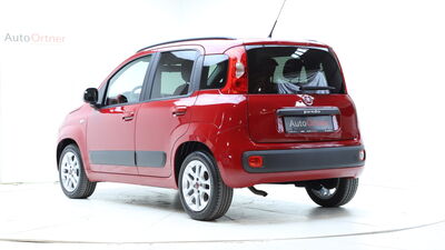 Fiat Panda Gebrauchtwagen