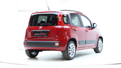 Fiat Panda Gebrauchtwagen