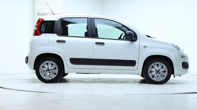 Fiat Panda Gebrauchtwagen