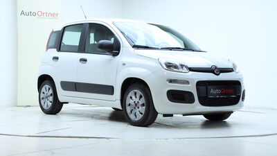 Fiat Panda Gebrauchtwagen