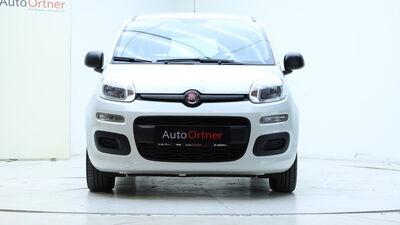 Fiat Panda Gebrauchtwagen