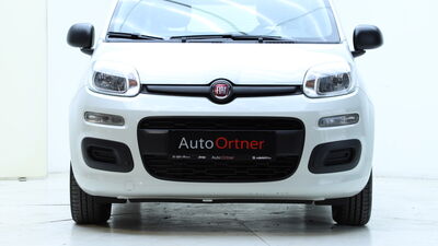 Fiat Panda Gebrauchtwagen