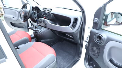 Fiat Panda Gebrauchtwagen