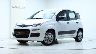 Fiat Panda Gebrauchtwagen