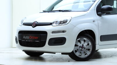 Fiat Panda Gebrauchtwagen