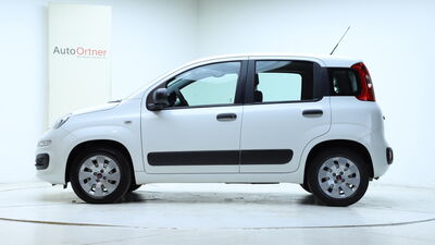 Fiat Panda Gebrauchtwagen