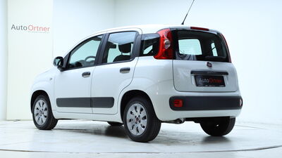 Fiat Panda Gebrauchtwagen