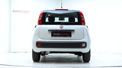 Fiat Panda Gebrauchtwagen