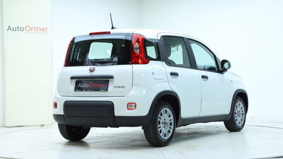 Fiat Panda Vorführwagen Fiat Panda Vorführwagen