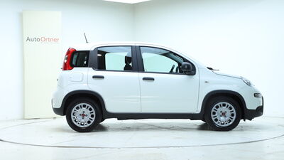 Fiat Panda Vorführwagen Fiat Panda Vorführwagen