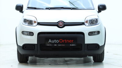 Fiat Panda Vorführwagen Fiat Panda Vorführwagen