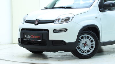 Fiat Panda Vorführwagen Fiat Panda Vorführwagen