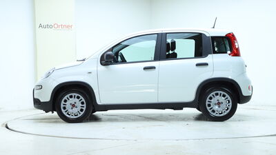 Fiat Panda Vorführwagen Fiat Panda Vorführwagen
