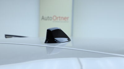 Alfa Romeo Junior Tageszulassung