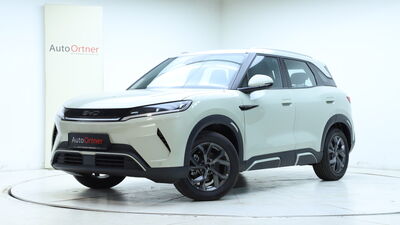 BYD Atto 2 Tageszulassung