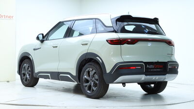 BYD Atto 2 Tageszulassung