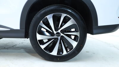 BYD Seal U Tageszulassung