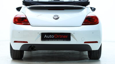 VW Beetle Gebrauchtwagen VW Beetle Gebrauchtwagen