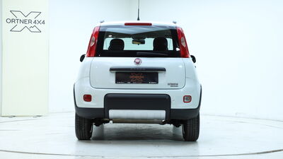 Fiat Panda Gebrauchtwagen