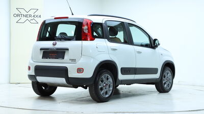 Fiat Panda Gebrauchtwagen