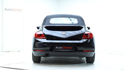VW Beetle Gebrauchtwagen