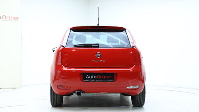 Fiat Punto Gebrauchtwagen