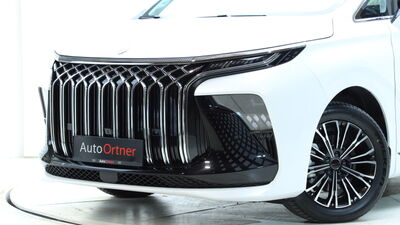 DFSK/DFM/FORTHING Forthing 9 Neuwagen