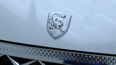 DFSK/DFM/FORTHING Forthing 9 Neuwagen