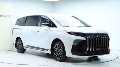 DFSK/DFM/FORTHING Forthing 9 Neuwagen