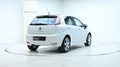 Fiat Punto Gebrauchtwagen Fiat Punto Gebrauchtwagen