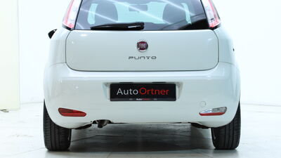 Fiat Punto Gebrauchtwagen Fiat Punto Gebrauchtwagen