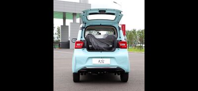 BAW Pony Neuwagen BAW Pony Neuwagen