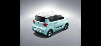 BAW Pony Neuwagen BAW Pony Neuwagen