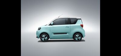 BAW Pony Neuwagen BAW Pony Neuwagen