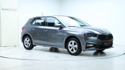 Skoda Fabia Gebrauchtwagen Skoda Fabia Gebrauchtwagen