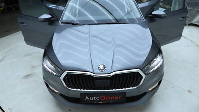 Skoda Fabia Gebrauchtwagen Skoda Fabia Gebrauchtwagen