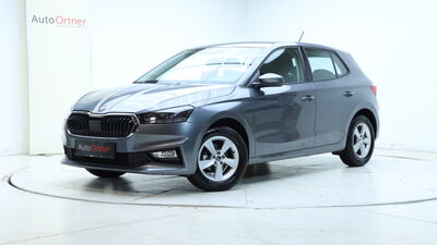 Skoda Fabia Gebrauchtwagen Skoda Fabia Gebrauchtwagen