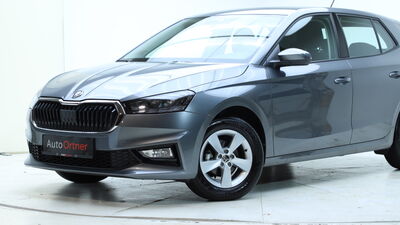 Skoda Fabia Gebrauchtwagen Skoda Fabia Gebrauchtwagen