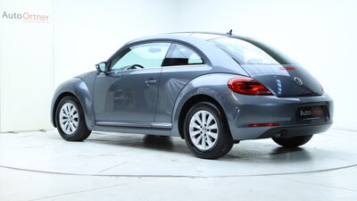 VW Beetle Gebrauchtwagen VW Beetle Gebrauchtwagen