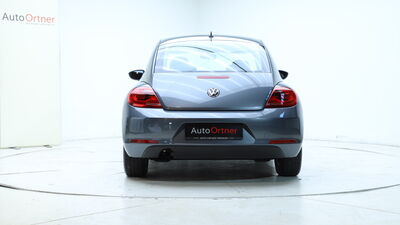 VW Beetle Gebrauchtwagen VW Beetle Gebrauchtwagen