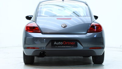 VW Beetle Gebrauchtwagen VW Beetle Gebrauchtwagen