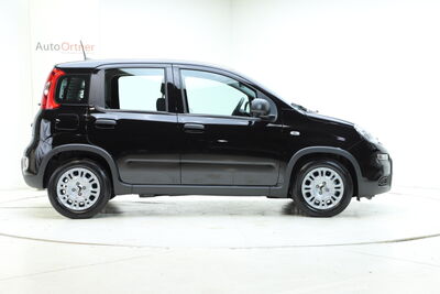Fiat Panda Tageszulassung
