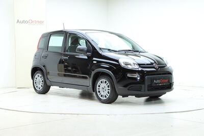 Fiat Panda Tageszulassung