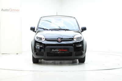 Fiat Panda Tageszulassung