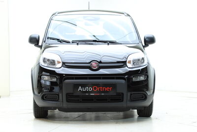 Fiat Panda Tageszulassung