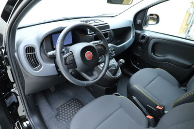 Fiat Panda Tageszulassung