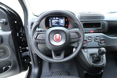 Fiat Panda Tageszulassung